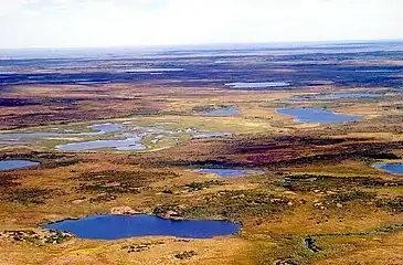 Paisaje de tundra en Taimyr