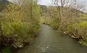 entre Epfendorf y Irslenbach, el Neckar