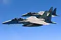 Una pareja de cazas Mitsubishi F-15 Eagle.