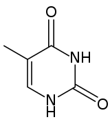 Estructura química de la timina.