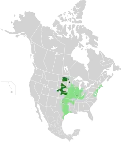 Mapa de distribución de la especie. Verde claro: distribución original Verde oscuro: distribución actual