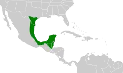 Distribución geográfica del tirano silbador.