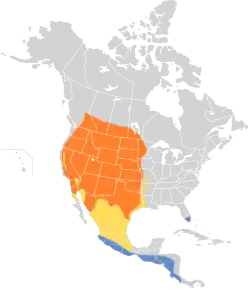 Distribución geográfica del tirano occidental.