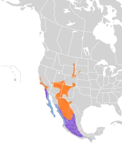 Distribución geográfica del tirano gritón.