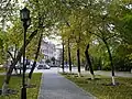 Otoño en la Plaza central.