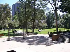 Vista del jardín.