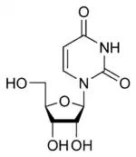 Estructura química de la uridina