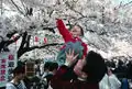 Hanami