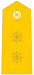 Teniente coronel