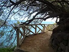 Un balcón hacia el Atlántico en el Paisaje Protegido de la Rambla de Castro, sobre el Roque del Camello.