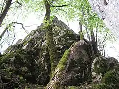 Ruinas de Unterwildenstein