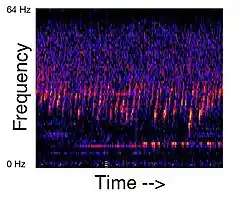 Spectrogram of the Whistle sound