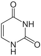 Estructura química del uracilo.