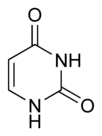 Estructura química del uracilo