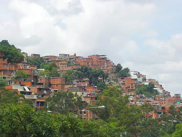 Muchos bosques han sido ocupados por zonas urbanizadas