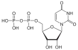 Imagen de la estructura