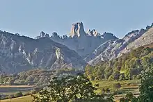 Naranjo de Bulnes