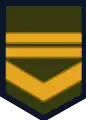 Insignia de voluntario de primera del Ejército Argentino