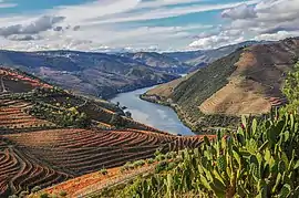 Alto Duero Vinatero