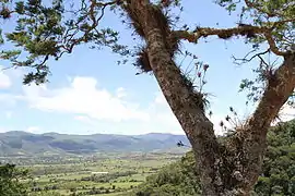 Valle templadoSamaipata, Santa Cruz