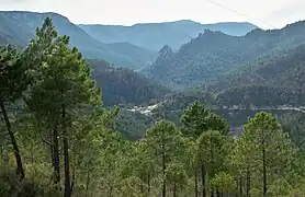 Sierra del Segura, y Valle del río Mundo.