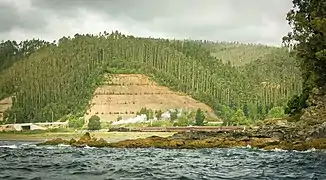 Golfo de Arauco