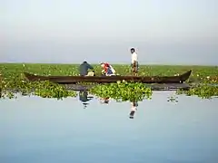 Turistas en un bote del país en el Vembanad