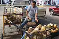 Vendedor de agua de coco en Venezuela.