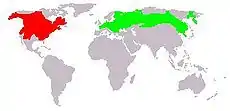 Distribución de la rata almizclera