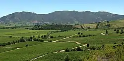 Viñedos en la ruta del vino del valle de Colchagua.