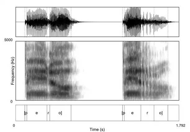 Contraste acústico entre la vibrante simple y la vibrante múltiple en español