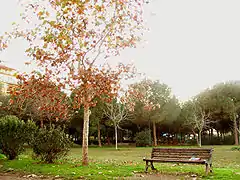 Un vistazo al parque, cerca de la entrada a via Olevano Romano