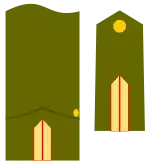 Divisa de brigada del Ejército de Tierra 1931-1986.