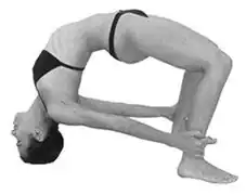 Viparíta Dhanurasana