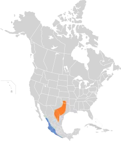 Distribución geográfica del vireo cabecinegro.