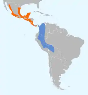 Distribución geográfica del vireo verdiamarillo.