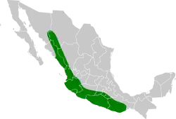 Distribución geográfica del vireo dorado.