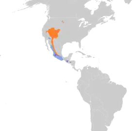 Distribución geográfica del vireo plomizo.