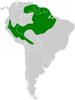 Distribución geográfica del vireón coronigrís.