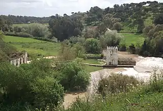 Vista del río desde un sendero en Alcalá