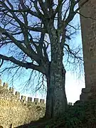 sta desde el interior de la muralla