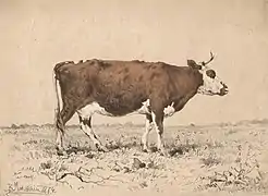 Vaca, 1874, litografía