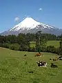 Volcán Osorno cerca de Cascadas