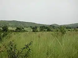 Sabana en el distrito de Gbomblora.