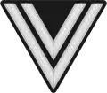 Insignia de la manga de las SS