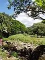 Vista del Waimea Valley historical nature park