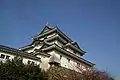 Castillo de Wakayama