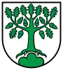 Bergdietikon