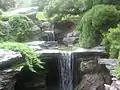 Cascada en el Brooklyn Botanic Garden