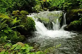 Cascada en el parque nacional de Mtirala